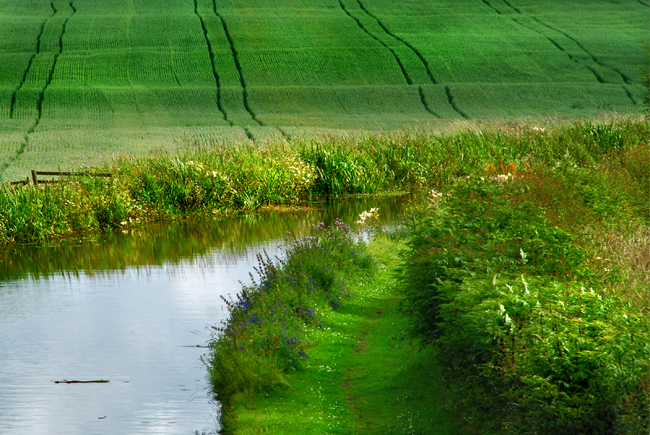 Lancaster Canal, Summer